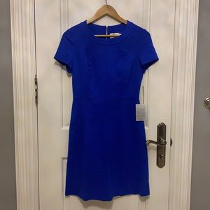 NEW! Eliza J Cobalt Blue Dress